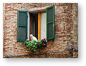 weekly_puzzle_11_45