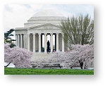 weekly_puzzle_08_14