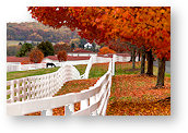 weekly_puzzle_15_46