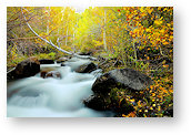 weekly_puzzle_15_48